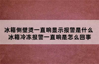 冰箱侧壁烫一直响显示报警是什么 冰箱冷冻报警一直响是怎么回事